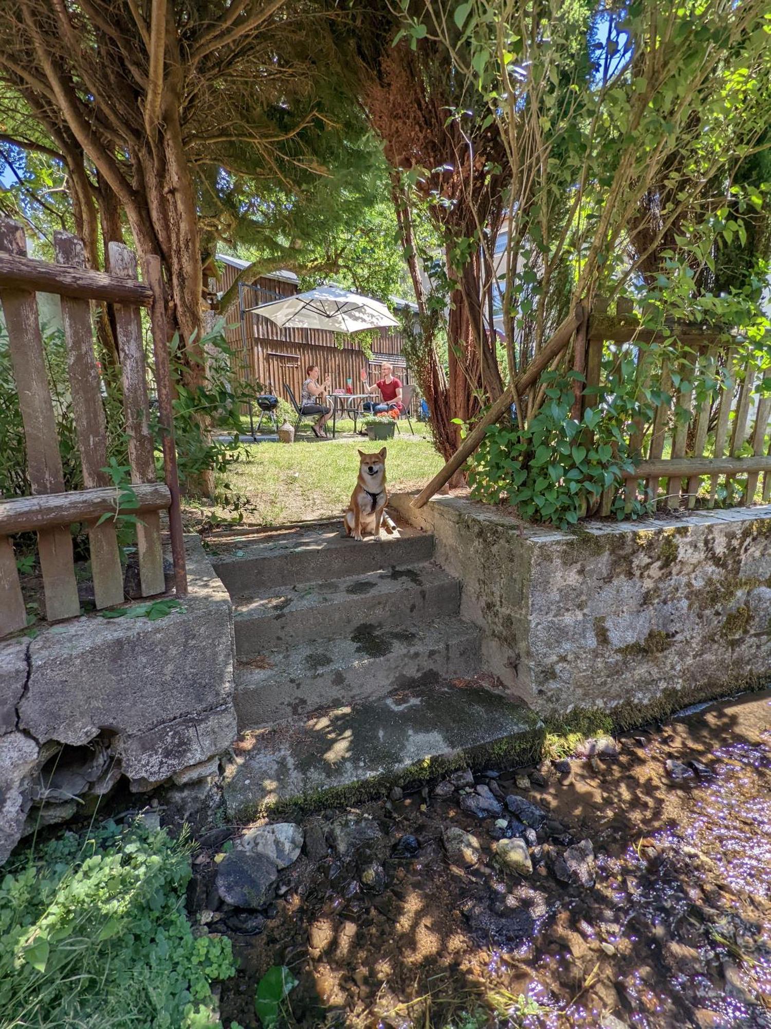H5 - Urlaubsmagie - Wohlfuehloase Mit Pool Apartment